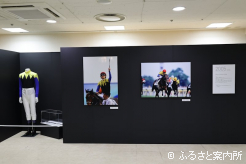 ディープインパクトと優勝した日本ダービー(G1)の写真