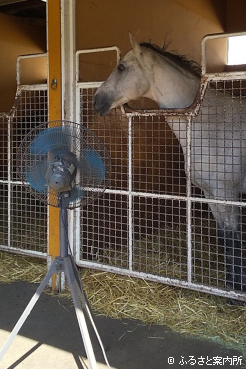 扇風機の前で涼むパクスアメリカーナ