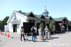 一般見学がはじまったレックススタッド