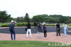 元気な姿を見せるステラヴェローチェ