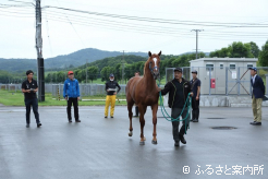JRA日高育成牧場の職員による馬体検査が行われた
