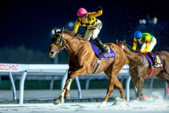 1分11秒9は3歳馬限定競走となってから最速タイムとなった