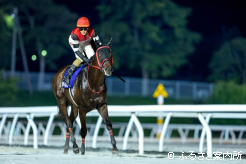 2歳中距離戦線の主役候補に躍り出た