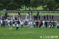 公益社団法人日本軽種馬協会静内種馬場の生産育成技術者研修を見学