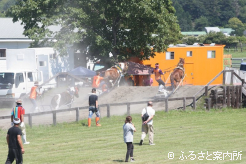 第6回目を迎えた日高ポニー輓馬大会