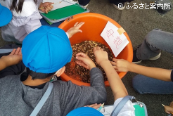 うまのえさに興味津々の児童