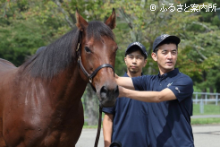 馬の獣医師のやりがいを伝えるJRA日高育成牧場調査役の竹部直矢氏