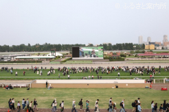 ターフビジョンにも馬場解放の映像が流れていた
