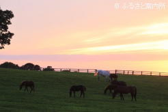 写真5 [夕焼け]