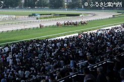 2開催14日間の入場人員は229,769人だった