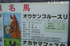 放牧地に残された馬名案内図
