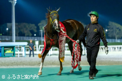 重賞2連勝で牝馬戦線の頂点へ名乗りをあげた
