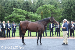15回目を迎えた地方競馬主催者軽種馬生産地現地検討会