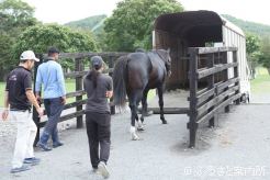 今後は功労馬として余生を送るという