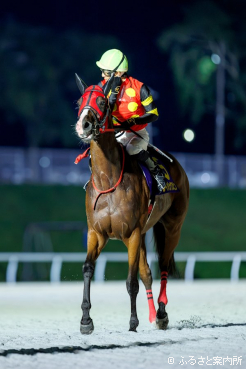 丹内祐次騎手は門別での重賞初勝利となった
