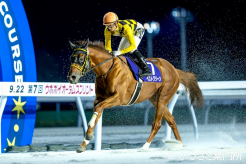 歴戦の古馬を相手に7馬身差の圧勝劇を演じた