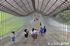 急こう配の坂路コースを馬になったつもりで駆け上がった