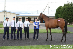 父はマクフィという鹿毛の牝馬