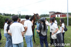 セール当日の比較展示でのシミュレーションにも一役買った