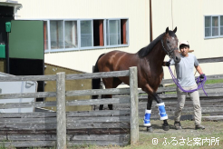 元気な姿で生まれ故郷に戻ってきた
