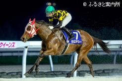 牝馬中距離シーズンを締めくくる強い競馬だった