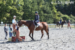 高校生と引馬乗馬を楽しむひだかうまキッズ探検隊2026
