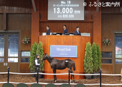 牝馬の最高ゴーイントゥベガスの2026