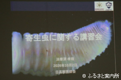日高獣医師会主催の令和8年度新技術講習会