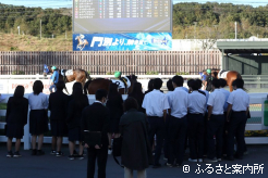 ファンとの距離が近いパドックで出走馬を見学