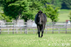 観光周遊バス｢ロマン･ロード号｣ツアーの参加者は、見学が可能だ