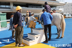 乗馬体験には多くの参加申し込みがあった