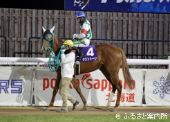 前走からプラス8kg。充実の馬体でパドックを周回していた