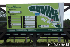 この日の放牧は4頭だった社台スタリオンステーション放牧見学会