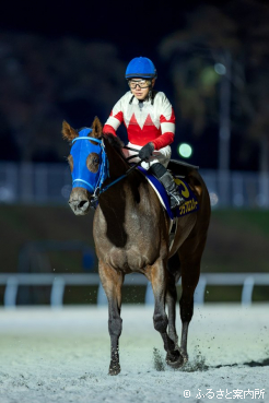 山本聡哉騎手は岩手競馬のリーディングジョッキー