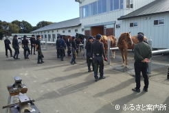 2人一組になり1日で4頭の装蹄を行った