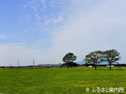 マスターソアラが馬体を大きくしていった、白老ファームYearling