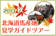 2013秋 北海道馬産地見学ガイドツアー