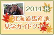 2014秋 北海道馬産地見学ガイドツアー