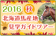 2016秋北海道馬産地見学ガイドツアー