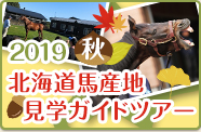 2019秋 北海道馬産地見学ガイドツアー