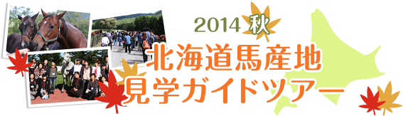 2014秋 北海道馬産地見学ガイドツアー