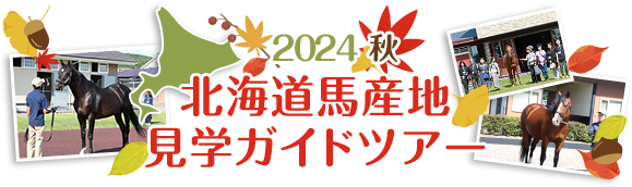 2024秋 北海道馬産地見学ガイドツアー