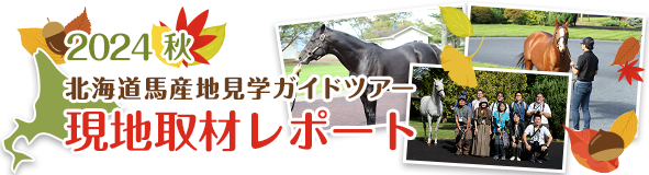 2024秋 北海道馬産地見学ガイドツアー 現地取材レポート