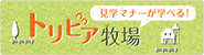 見学マナーが学べる!トリビア牧場 あなたは馬のトリビアをどれだけしっていますか?